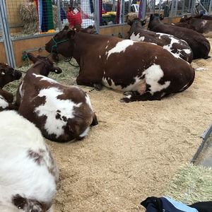 Meet your Posher, Leanne